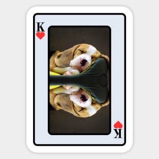 Beagle King Of Hearts Sticker